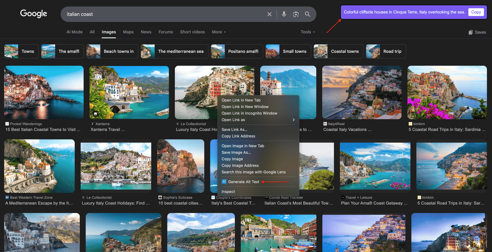 Chrome extension generate alt text step 4