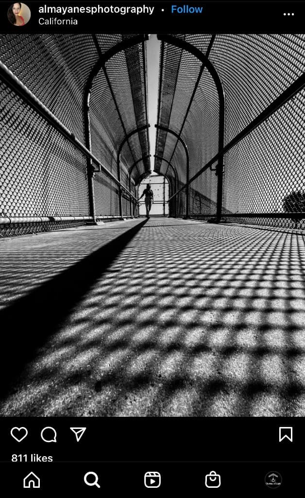 Black-and-white photo of a silhouette walking through an arched chain-link tunnel with diamond shadows